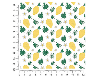 gold nugget fruit 1ft x 1ft Craft Sheets
