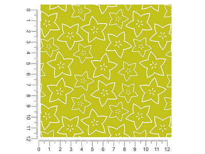 golden star fruit 1ft x 1ft Craft Sheets
