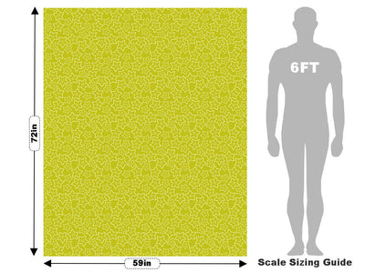 Golden Star Fruit Vehicle Wrap Scale~Rwraps Series 914 Golden Star Fruit Measurements~1