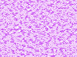 Good Tax Pixel Vinyl Wrap Pattern~Rwraps Series 914 Digitally Printed Vinyl Wrap~0