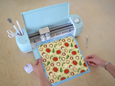 governor infantada fruit Cricut Compatible Vinyl