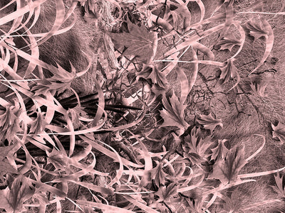 Grassland Pink Camouflage Vinyl Wrap Pattern~Rwraps Series 914 Digitally Printed Vinyl Wrap~0