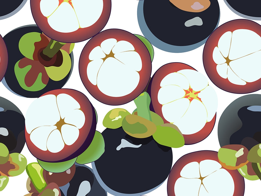 Great Garcinia Fruit Vinyl Wrap Pattern~Rwraps Series 914 Digitally Printed Vinyl Wrap~0
