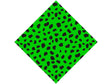 Green Dalmation Vinyl Wrap Pattern