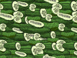 Green Improved Vegetable Vinyl Wrap Pattern~Rwraps Series 914 Digitally Printed Vinyl Wrap~0