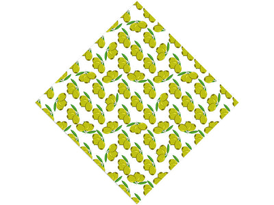 Green Olives Greco Roman Vinyl Wrap Pattern