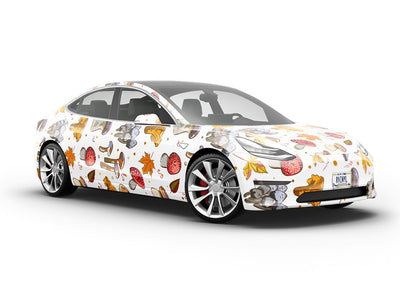 Happy Caps Mushroom Vehicle Vinyl Wrap