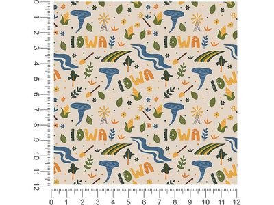 hawkeye state  1ft x 1ft Craft Sheets