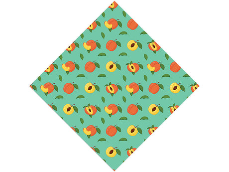 Honey Babe Fruit Vinyl Wrap Pattern