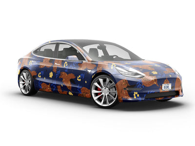 Hoot Holler Birds Vehicle Vinyl Wrap