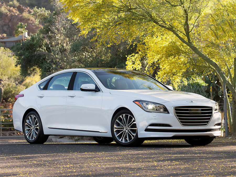 hyundai genesis 2009-2014 Carbon Fiber Pillar Trim