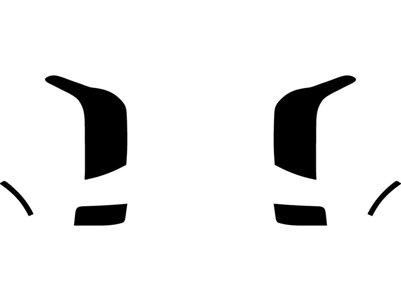 palisade Precut Tail Light Tint Diagram