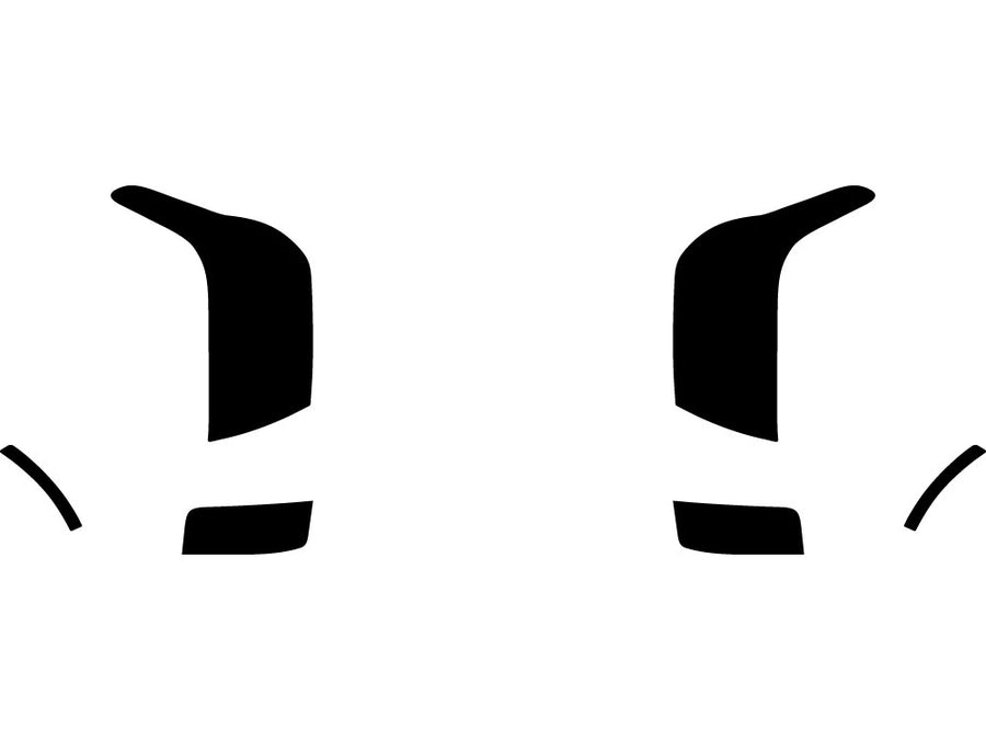 palisade Precut Tail Light Tint Diagram