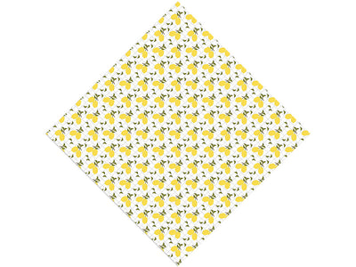 Jaffa Tang Fruit Vinyl Wrap Pattern