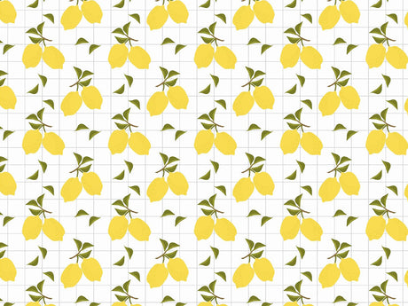 Jaffa Tang Fruit Vinyl Wrap Pattern~Rwraps Series 914 Digitally Printed Vinyl Wrap~0
