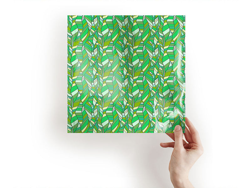 kelp forest water Craft Sheets