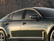 kia stinger 2018-2023 Custom Pillar Cover Diagram