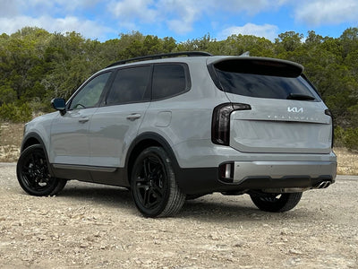 telluride Blackout Tail Light TInt~1~0