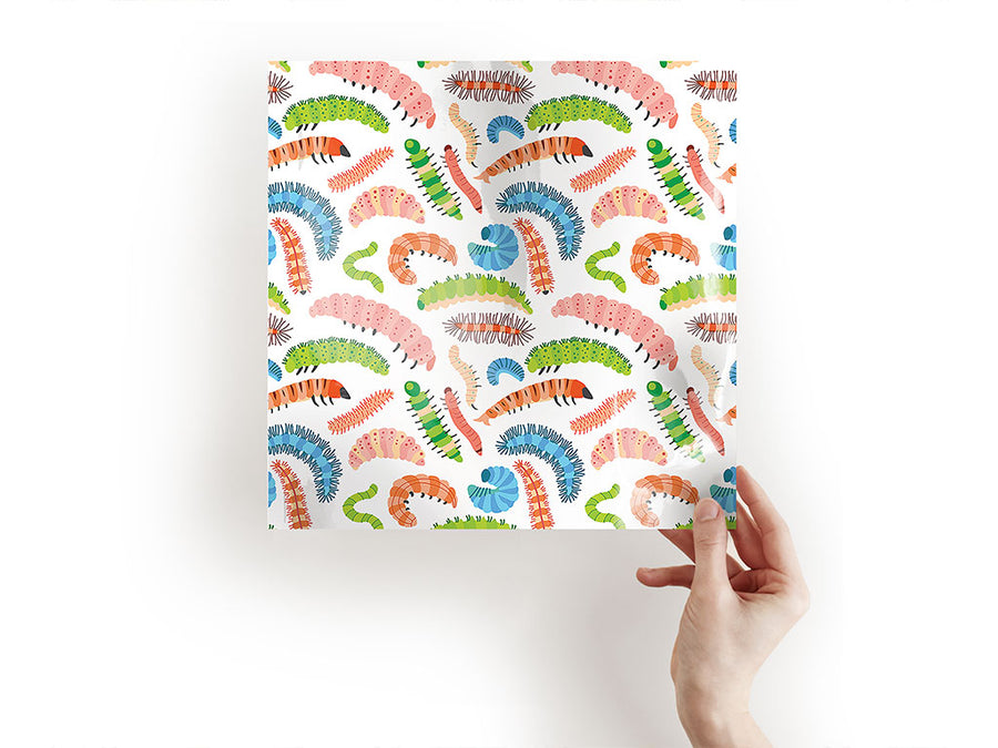 larval disco bug Craft Sheets