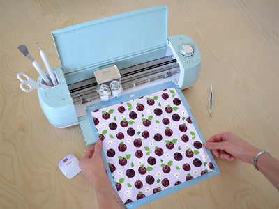 legendary excalibur fruit Cricut Compatible Vinyl