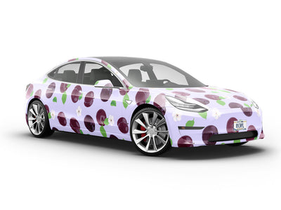 Legendary Excalibur Fruit Vehicle Vinyl Wrap