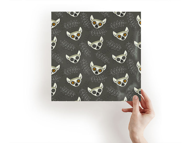lemur vision animal Craft Sheets