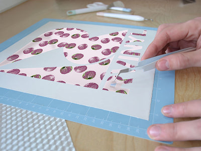 leonardo radicchio vegetable Easy Weed Craft Vinyl