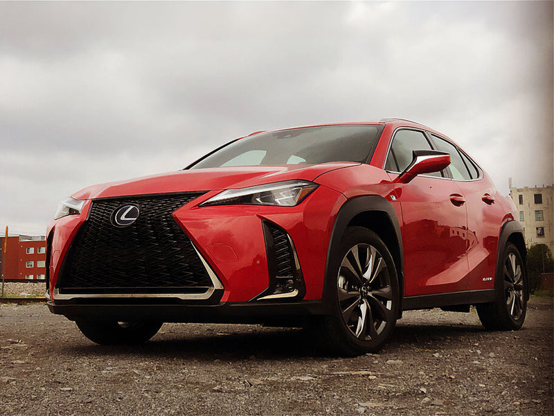 lexus ux 2019-2022 Avery Dennison Headlight Protection Kits