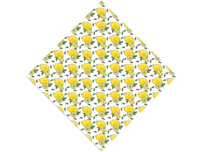 Limoncello  Fruit Vinyl Wrap Pattern