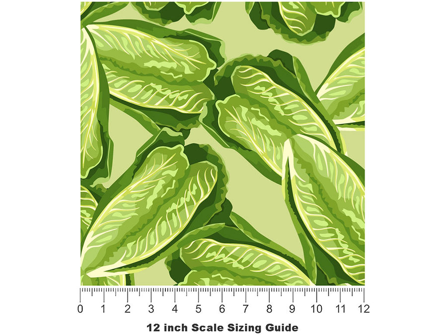 Little Caesar Romaine Vegetable Vinyl Film Pattern Size 12 inch Scale~Rwraps Little Caesar Romaine Vegetable Sizing Chart~2
