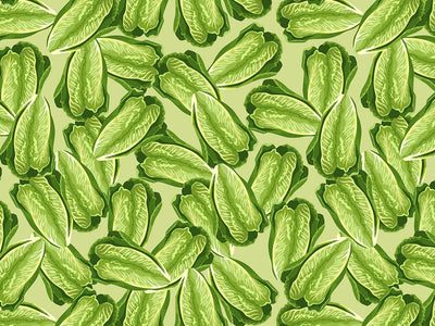 Little Caesar Romaine Vegetable Vinyl Wrap Pattern~Rwraps Series 914 Digitally Printed Vinyl Wrap~0