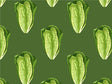 Little Gem Romaine Vegetable Vinyl Wrap Pattern~Rwraps Series 914 Digitally Printed Vinyl Wrap~0