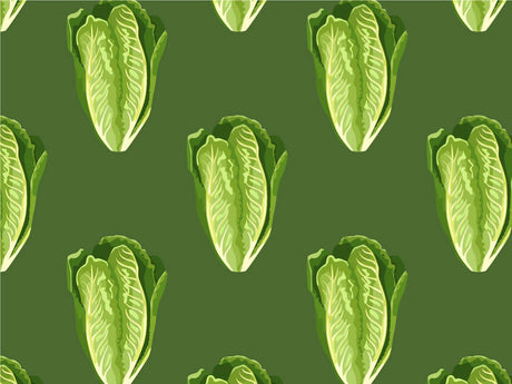 Little Gem Romaine Vegetable Vinyl Wrap Pattern~Rwraps Series 914 Digitally Printed Vinyl Wrap~0