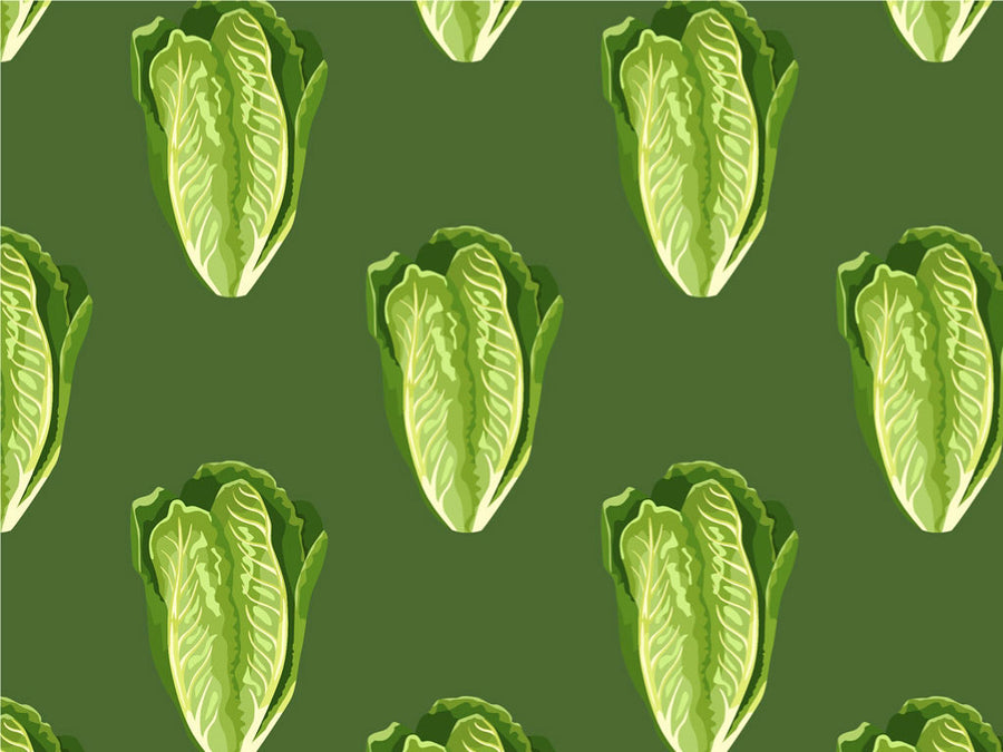 Little Gem Romaine Vegetable Vinyl Wrap Pattern~Rwraps Series 914 Digitally Printed Vinyl Wrap~0