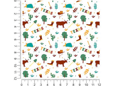 lone star  1ft x 1ft Craft Sheets