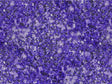 Lost Waters Gemstone Vinyl Wrap Pattern~Rwraps Series 914 Digitally Printed Vinyl Wrap~0