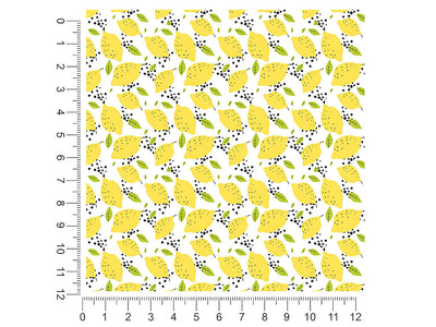 lumia fruit 1ft x 1ft Craft Sheets