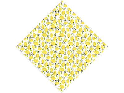 Lumia  Fruit Vinyl Wrap Pattern
