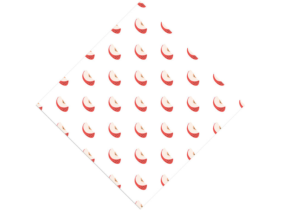 Lunch Snack Fruit Vinyl Wrap Pattern