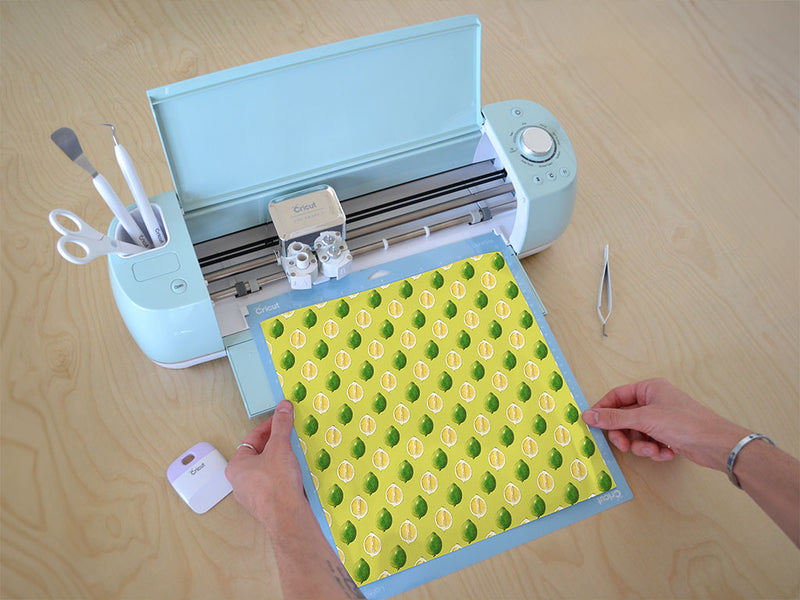 mamoncillo fruit Cricut Compatible Vinyl