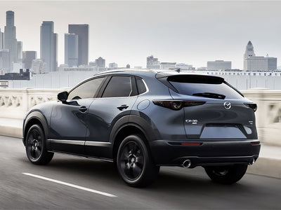 cx-30 Blackout Tail Light TInt~1~0