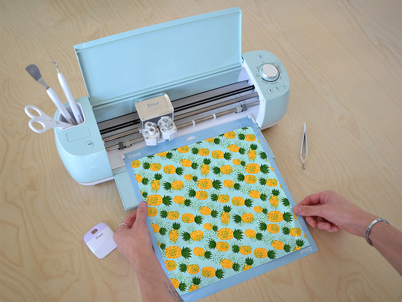 monte lirio fruit Cricut Compatible Vinyl