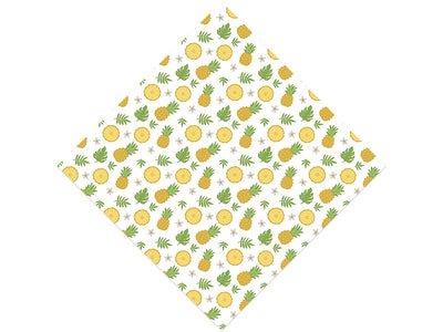Multi-Fruit  Fruit Vinyl Wrap Pattern