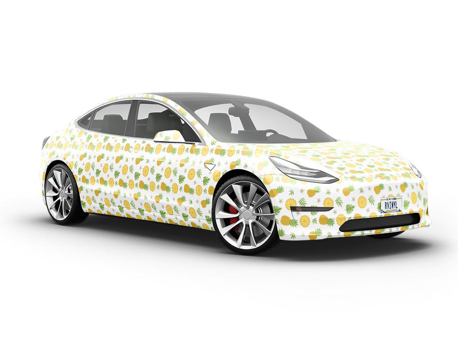 Multi-Fruit  Fruit Vehicle Vinyl Wrap