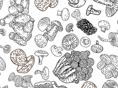 Mycelium Outlines Mushroom Vinyl Wrap Pattern~Rwraps Series 914 Digitally Printed Vinyl Wrap~0