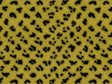 Natural Cheetah Vinyl Wrap Pattern~Rwraps Series 914 Digitally Printed Vinyl Wrap~0