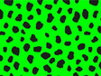 Neon Dalmation Vinyl Wrap Pattern~Rwraps Series 914 Digitally Printed Vinyl Wrap~0