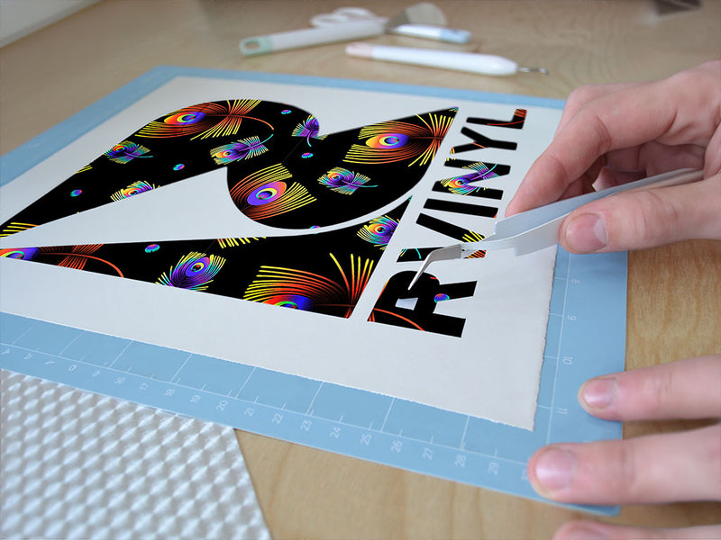 neon eyes bird Easy Weed Craft Vinyl