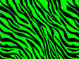 Neon Tiger Vinyl Wrap Pattern~Rwraps Series 914 Digitally Printed Vinyl Wrap~0