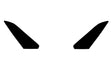 nissan gt-r 2023-2024 Headlight Tint